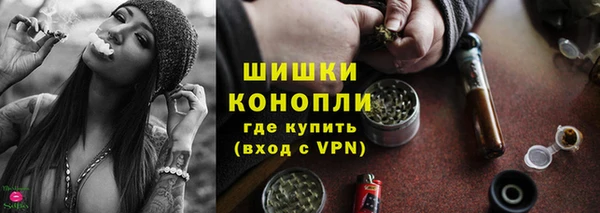 ешки Гусь-Хрустальный