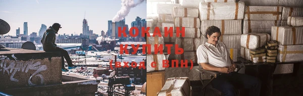 гашик Дмитровск