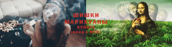 ешки Гусь-Хрустальный