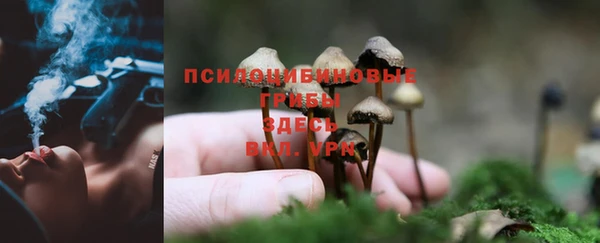 кокаин колумбия Гусев