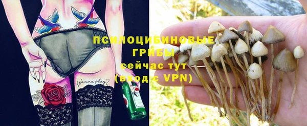 гашик Дмитровск