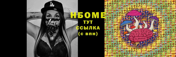 гашик Дмитровск