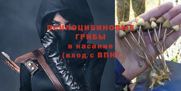 гашик Дмитровск