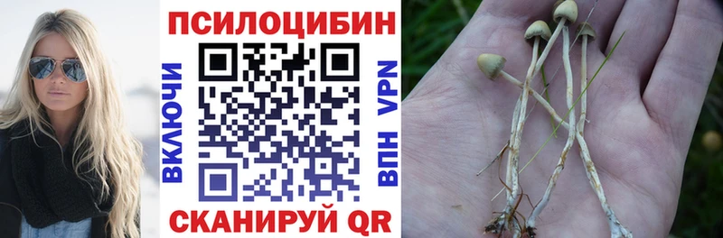 Галлюциногенные грибы Psilocybe  сколько стоит  Чебоксары 