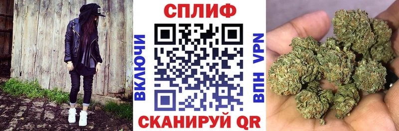 наркотики  Чебоксары  Шишки марихуана сатива 